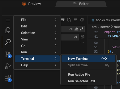 editor terminal